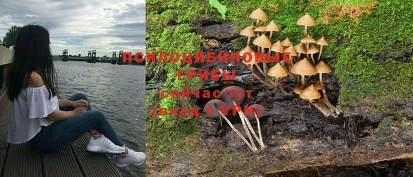 спиды Балахна