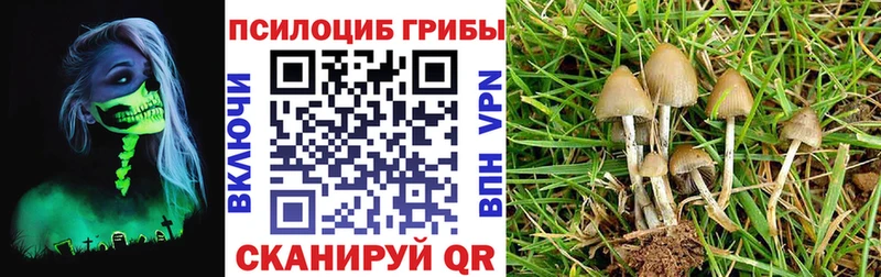 Галлюциногенные грибы Psilocybine cubensis купить наркотики сайты darknet Telegram Разумное